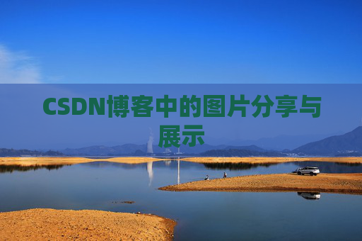 CSDN博客中的图片分享与展示